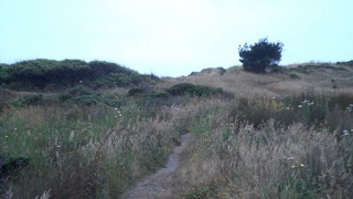 trail